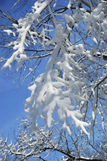 Images Dated 6th February 2010: USA, Indianapolis, Indiana, Eagle Creek City Park