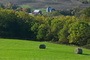 Images Dated 15th October 2005: USA-IOWA-Rickardsville: Farm / Field along Rt. 52 / Northeast Iowa