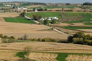 Images Dated 15th October 2005: USA-IOWA-Rickardsville: Farm / Field along Rt. 52 / Northeast Iowa
