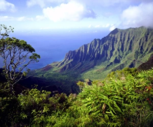 Na Pali Prints: USA, Kauai, Hawaii. View above the Na Pali Coast