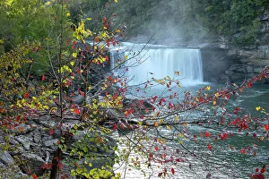 USA, Kentucky. Cumberland Falls behind Fall foliage