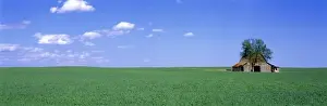 Farm Land Prints: USA, Kentucky, Guthrie. A field of bluegrass is married to the sky in Guthrie, Kentucky