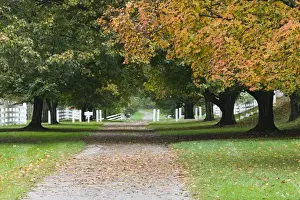 Images Dated 20th October 2006: USA-Kentucky-Harrodsburg: Shaker Village of Pleasant Hill- Main Street