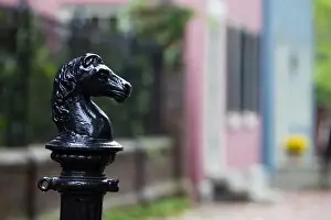 Animal Head Prints: USA-Kentucky-Lexington: Horse Column- Market Street