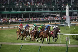 Trending: USA, Kentucky, Louisville. Horses racing on turf at Churchill Downs