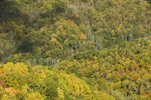 USA-Kentucky-Oven Fork: Autumn View of the Appalachian Mountains