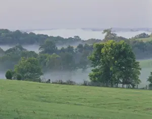 Rolling Hills Prints: USA, Kentucky. Rolling hills of the Bluegrass region at sunrise