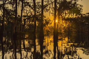 USA, Louisiana, Atchafalaya National Wildlife Refuge. Sunrise on swamp. Credit as