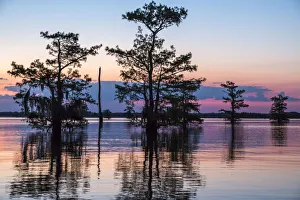 USA, Louisiana, Atchafalaya National Wildlife Refuge. Sunrise on swamp. Credit as