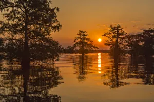 USA, Louisiana, Atchafalaya National Wildlife Refuge. Sunrise on swamp. Credit as