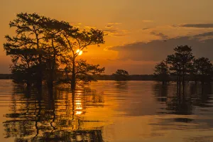 USA, Louisiana, Atchafalaya National Wildlife Refuge. Sunrise on swamp. Credit as