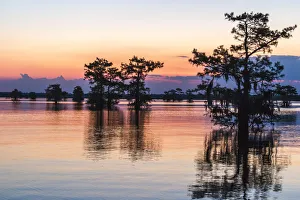 Images Dated 8th May 2018: USA, Louisiana, Atchafalaya National Wildlife Refuge. Sunrise on swamp. Credit as