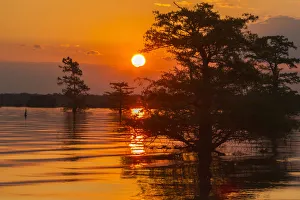 USA, Louisiana, Atchafalaya National Wildlife Refuge. Sunrise on swamp. Credit as
