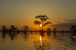 USA, Louisiana, Atchafalaya National Wildlife Refuge. Sunrise on swamp. Credit as