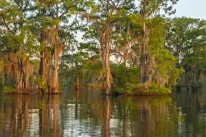 USA, Louisiana, Atchafalaya National Wildlife Refuge. Sunrise on swamp. Credit as