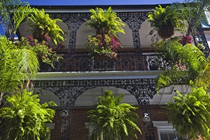 Images Dated 1st November 2009: USA, Louisiana, New Orleans. French Quarter, balcony