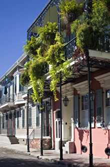 Images Dated 1st November 2009: USA, Louisiana, New Orleans. French Quarter, balcony