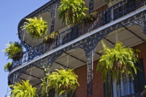 Images Dated 1st November 2009: USA, Louisiana, New Orleans. French Quarter, balcony