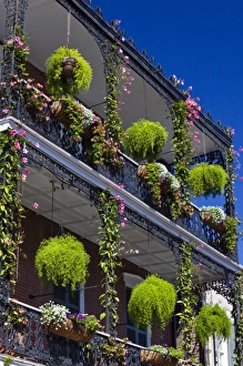 Images Dated 1st November 2009: USA, Louisiana, New Orleans. French Quarter, balcony