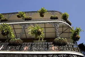 Wrought Iron Prints: USA, Louisiana, New Orleans. Looking up at traditional wrought iron balconies