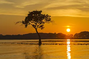 Images Dated 8th May 2017: USA, Louisiana. Sunrise on Millers Lake