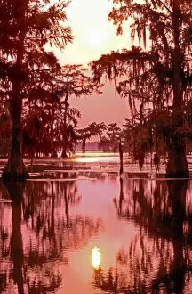 USA, Louisiana. Sunset on a Atchafalaya Basin bayou