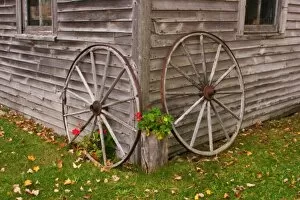USA, Main. Wagon Wheels