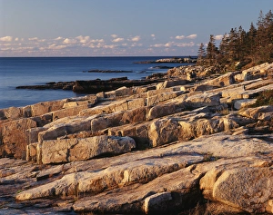 Images Dated 11th February 2013: USA, Maine, Acadia National Park, Mt Desert Island, View of rocks with forest