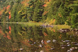 Images Dated 11th October 2017: USA, Maine. Acadia National Park, reflections in the fall at Bubble Pond