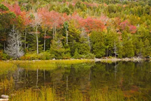 Down East Prints: USA, Maine. Acadia National Park, reflections in the fall at Bubble Pond