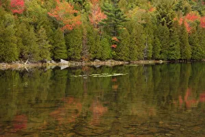 Images Dated 11th October 2017: USA, Maine. Acadia National Park, reflections in the fall at Bubble Pond