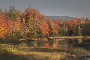 USA, Maine, Acadia National Park