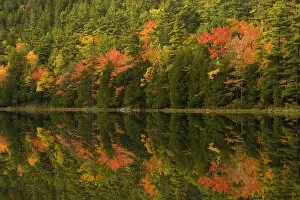 Images Dated 18th October 2007: USA; Maine; Acadia NP. Fall reflections at Bubble Pond