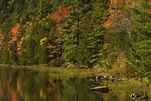 Down East Prints: USA; Maine; Acadia NP. Fall reflections at Bubble Pond