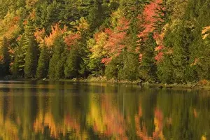 Images Dated 17th October 2007: USA; Maine; Acadia NP. Fall reflections at Bubble Pond
