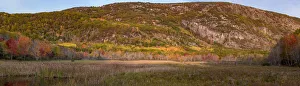 Reed Prints: USA, Maine. Autumn foliage near The Beehive, Panoramic, Acadia National Park