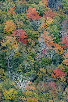 Images Dated 20th October 2017: USA, Maine. Autumn foliage viewed from atop The Bubbles