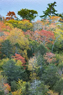 Images Dated 20th October 2017: USA, Maine. Autumn foliage viewed from atop The Bubbles near Jordan Pond
