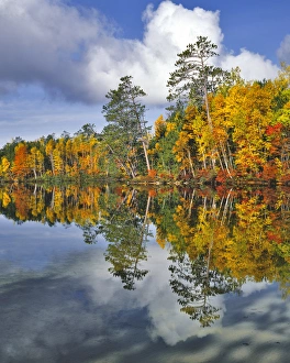 Images Dated 15th March 2015: USA, Maine. Autumn scenic of Upper Togue Pond