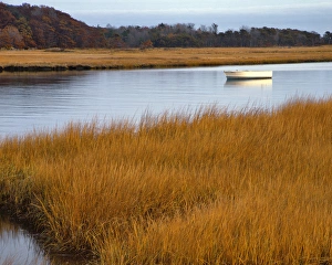 Images Dated 25th March 2015: USA, Maine. Boat anchored in Mousam River
