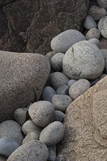 Images Dated 22nd October 2017: USA, Maine. Boulder Beach, Acadia National Park