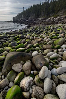 Images Dated 22nd October 2017: USA, Maine. Boulder Beach, Acadia National Park