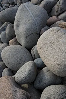 Images Dated 22nd October 2017: USA, Maine. Boulder Beach, Acadia National Park
