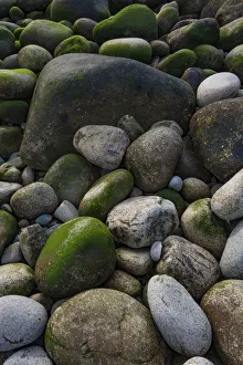 Images Dated 22nd October 2017: USA, Maine. Boulder Beach, Acadia National Park