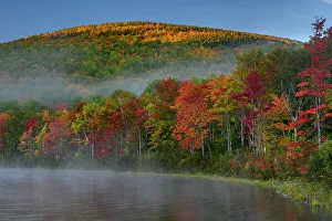 Maine Prints: USA, Maine. Brilliant fall colors at edge of South Branch Pond, Baxter State Park