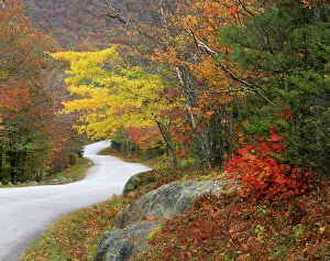 Recreation Prints: USA, Maine, Camden
