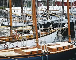 USA, Maine, Camden. Sailboats in harbor