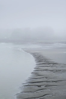 USA, Maine, Cape Neddick, harbor in fog