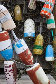 Buoy Prints: USA, Maine, Cape Neddick, lobster buoys