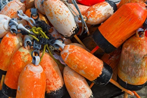 Buoy Prints: USA, Maine, Christmas Cove, lobster buoys